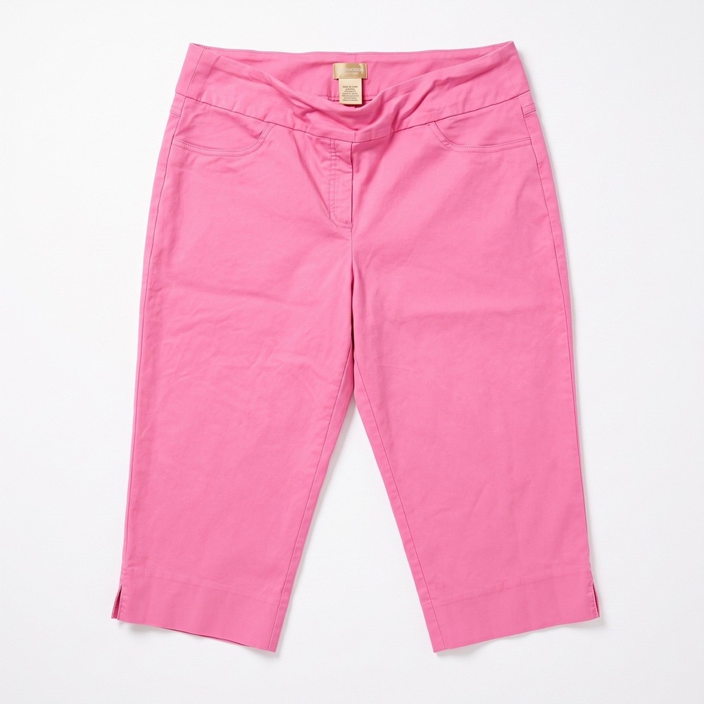 Ruby Rd Womens 16 Pink Pull-On Capri Pants Casual Cozy Cropped Trousers